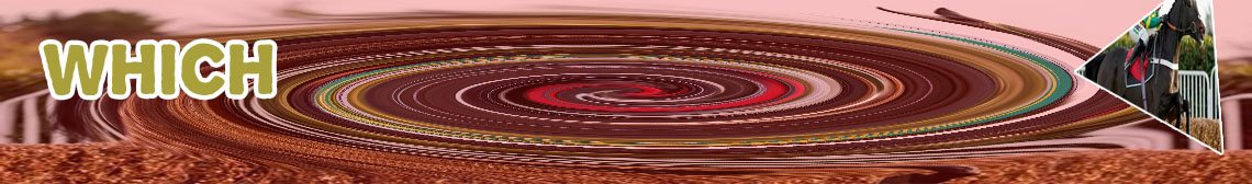 Cheltenham betting odds