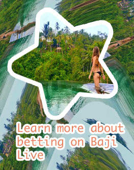 How to place a wager in baji bet to